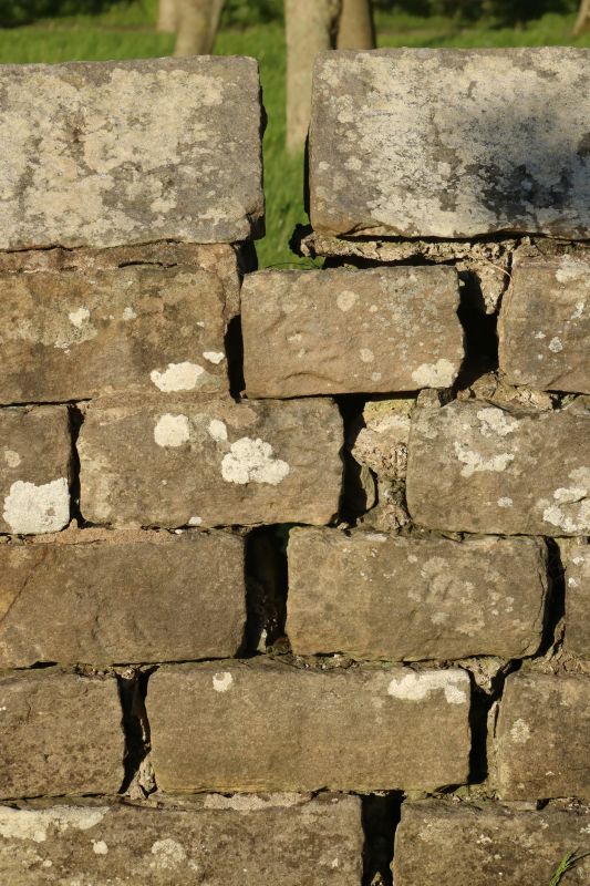 Brick Walls Vs. Stone Walls: Choosing The Right Material